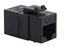 Black modular keystone coupler for network cabling with CAT6 compatibility and 25-piece quantity