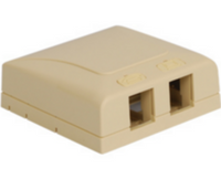 Ivory 2-port elite surface mount box for network cabling with dual outlet openings