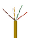 Yellow CAT 6 network cable with multicolored twisted pairs exposed at the end, showing plenum-rated UTP construction