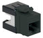 Black Cat 6A HD modular keystone jack with labeled port opening and mounting tabs for structured cabling installations