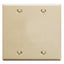 Ivory 2-gang blank wall plate with four mounting screws for networking and cabling installations
