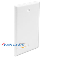 White blank single gang flush style faceplate with two screw holes for wall-mounted network cabling installations