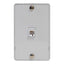 White single gang telephone wall plate with 6P6C jack connector and mounting screws