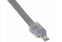 ezEX-RJ45 CAT6 connector with gray cable and colored wire strands visible in connector head