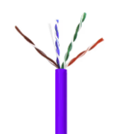 Purple Cat 6 UTP cable with four colored twisted pairs exposed at the end