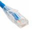 Blue CAT6 patch cord with clear boot connector, 1 foot length, showing internal wiring structure
