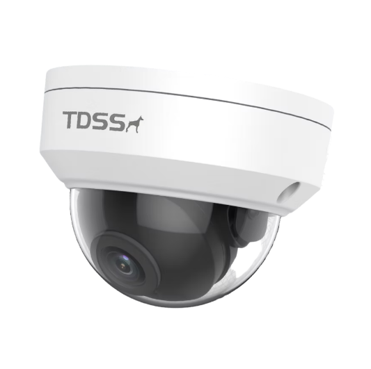 TDSS white dome network camera with IR capability and intelligent chrominance technology for surveillance
