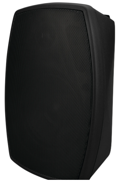 Vanco 5.25” On-Wall Indoor/Outdoor Speaker