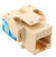 ICC Cat5e EZ Modular Keystone Jack in ivory with blue labeling and gold-plated RJ45 connector port