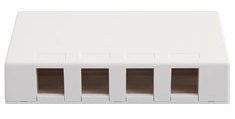 White 4-port surface mount box with four brown outlet openings for network cabling and structured cabling installations