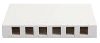 White 6-port surface mount box with brown port openings for network cabling connections