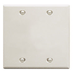 White 2-gang blank wall plate with four mounting screws for professional network cabling installations