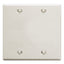 White 2-gang blank wall plate with four mounting screws for professional network cabling installations