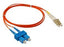 LC-SC duplex 50-micron multimode fiber patch cable with red jacket and blue SC connector, 2 meter length