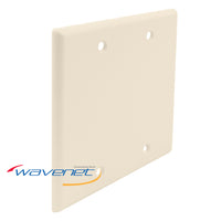 Almond colored blank double gang flush style faceplate with two mounting holes for networking installations
