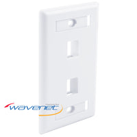 White 2-port single-gang flush faceplate with ID windows for structured cabling installations