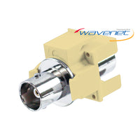 Wavenet BNC 75 Ohm Keystone Style Module in ivory with polished metal BNC connector and mounting hardware