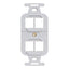 Ivory 4-port electrical insert for structured cabling with dual outlet slots and mounting hardware