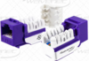 6EKSJPR - WAVENET Cat 6 Keystone Jack, Purple