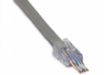 202044J Platinum Tools ezEX®44 - ezEX-RJ45® CAT6 Connector