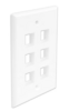 FP06PWH Port Single Gang Flush Style Faceplate White