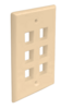 FP06PIV Port Single Gang Flush Style Faceplate Ivory