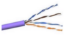 5E04URPR5 350 MHZ Cat5e Cable, 1000 ft, Purple